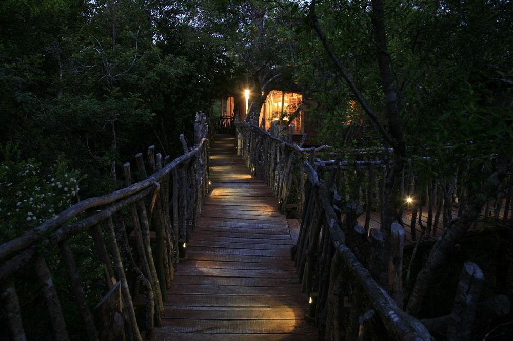Tree Lodge Nidos De Pucon Bagian luar foto