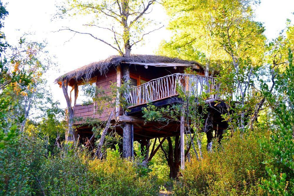 Tree Lodge Nidos De Pucon Bagian luar foto