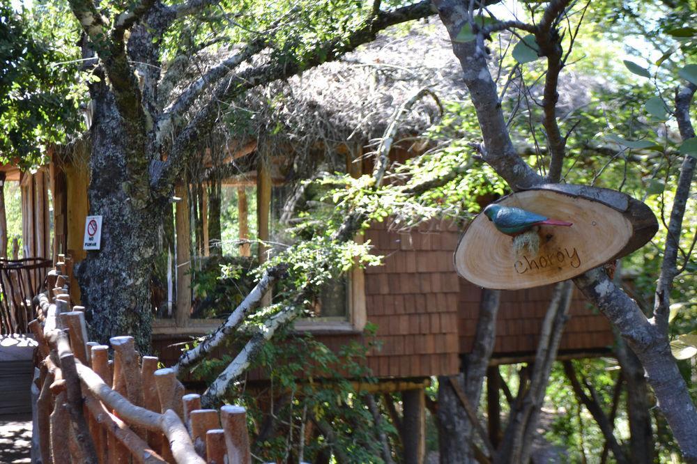 Tree Lodge Nidos De Pucon Bagian luar foto