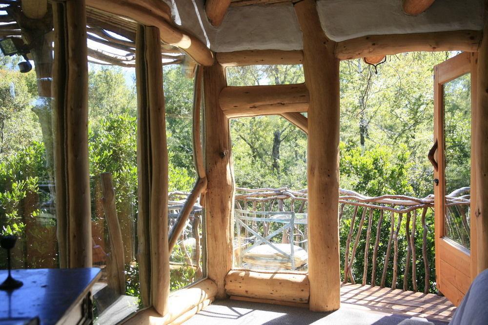 Tree Lodge Nidos De Pucon Bagian luar foto