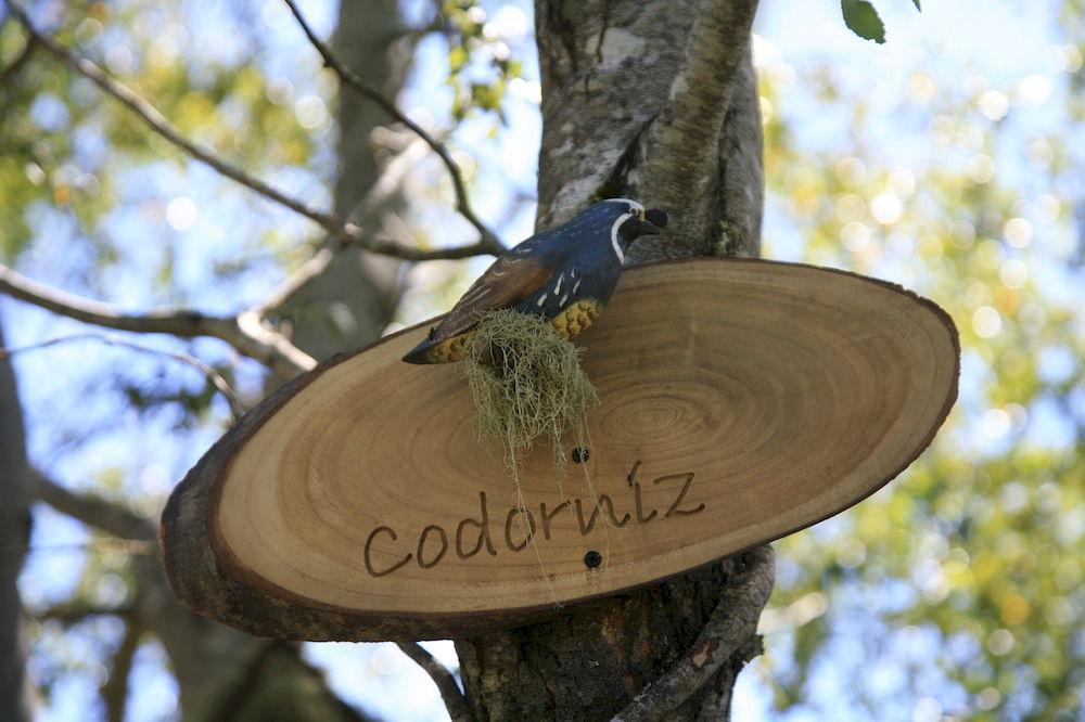 Tree Lodge Nidos De Pucon Bagian luar foto