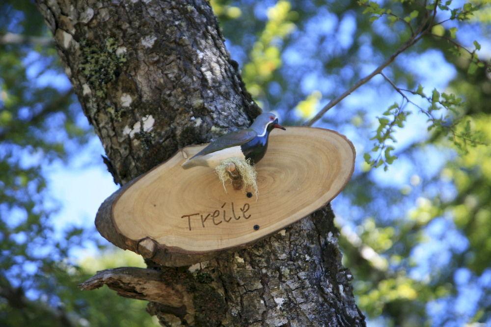 Tree Lodge Nidos De Pucon Bagian luar foto