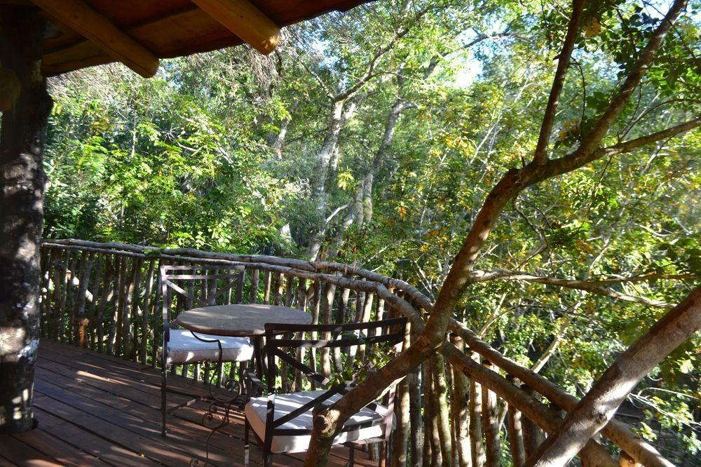 Tree Lodge Nidos De Pucon Bagian luar foto