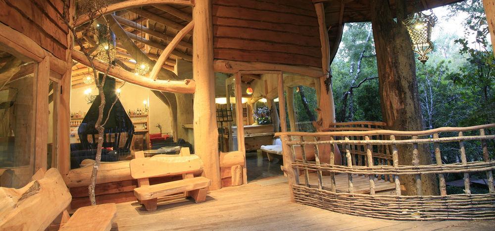 Tree Lodge Nidos De Pucon Bagian luar foto